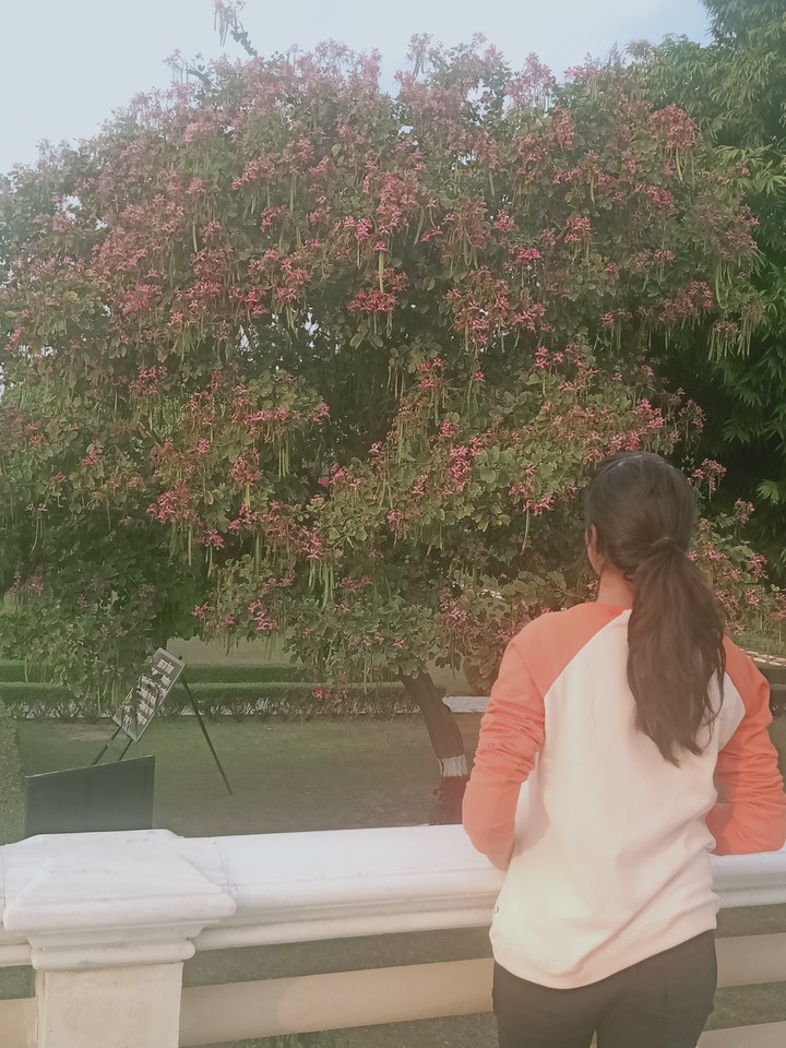 nature