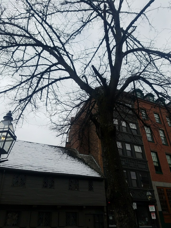 boston ma