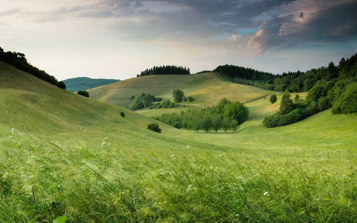 beautiful scene