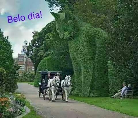 .....