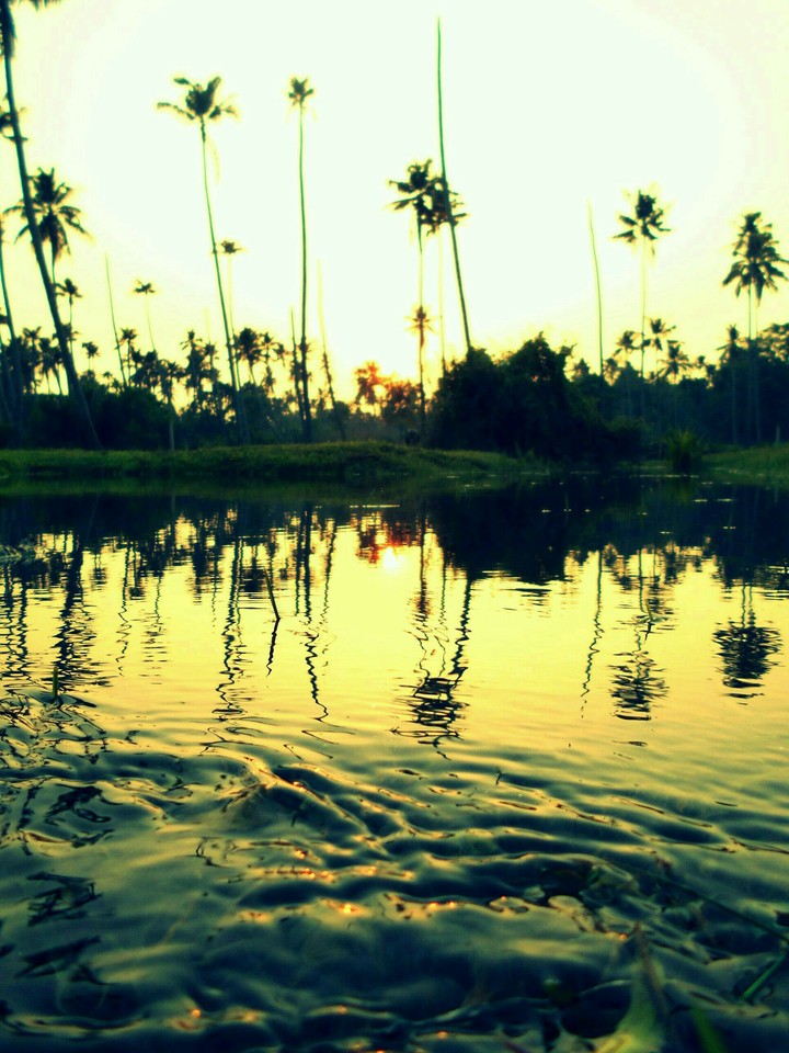 beauty of Kerala