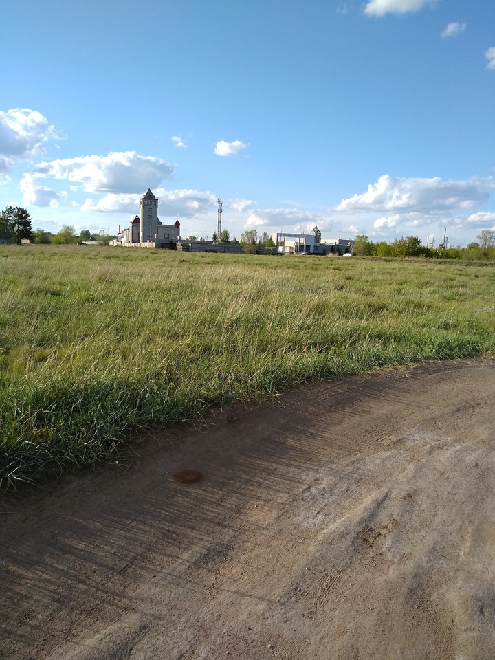beautiful field.