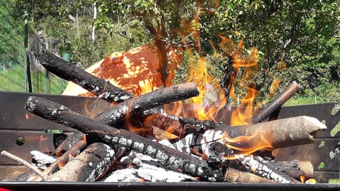 barbeque fire