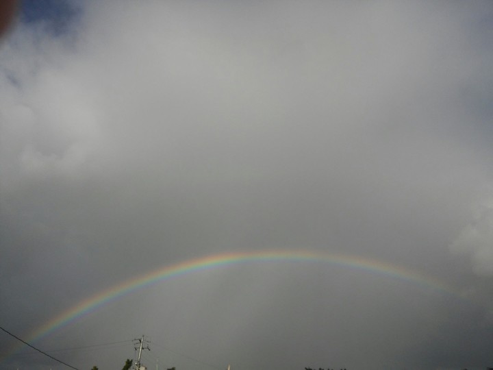 Boricua Rainbow