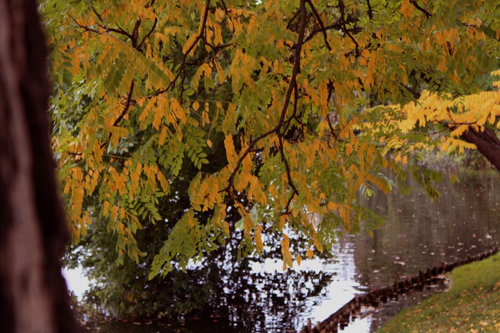 Park