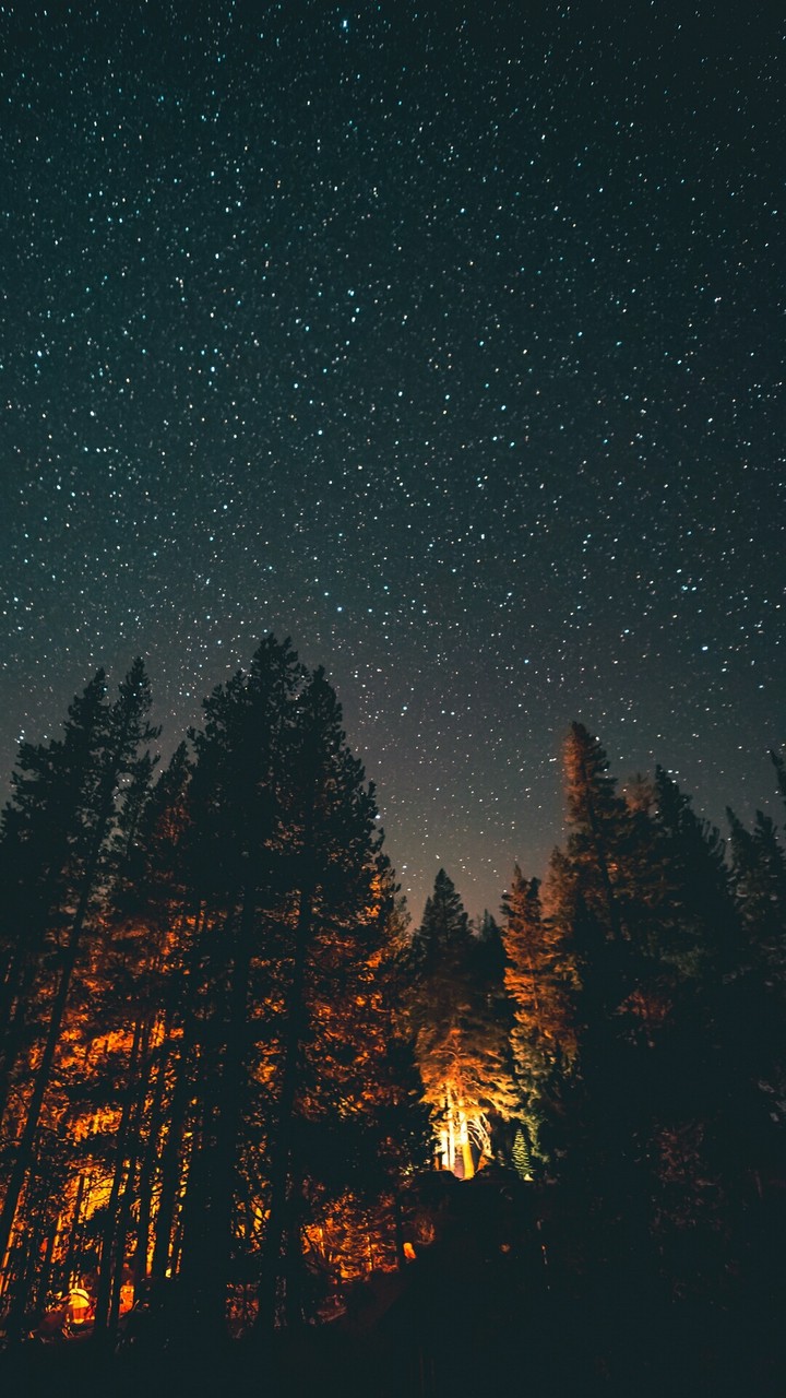 night sky...