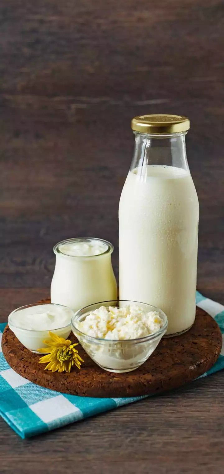 Dairy