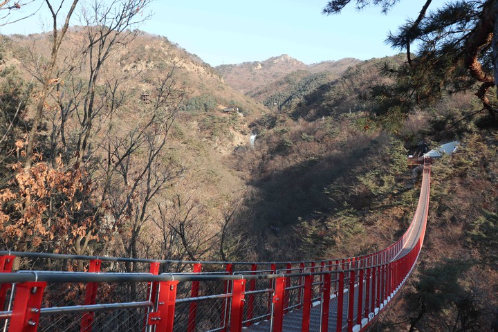 다리