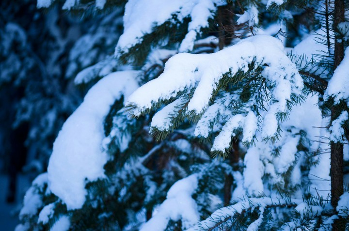 snow