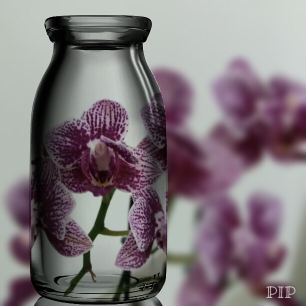 Orquídea