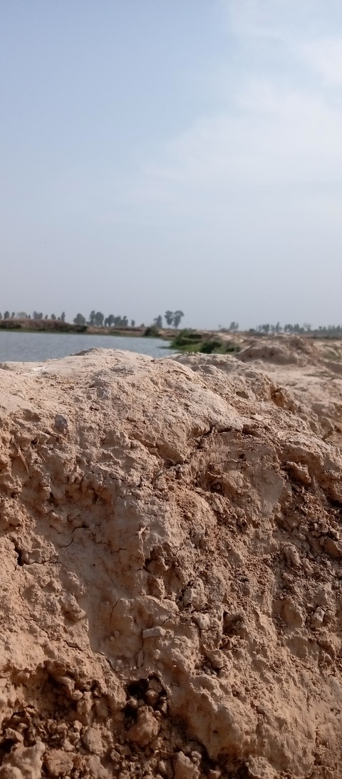 Natural_environment, Brown, Soil