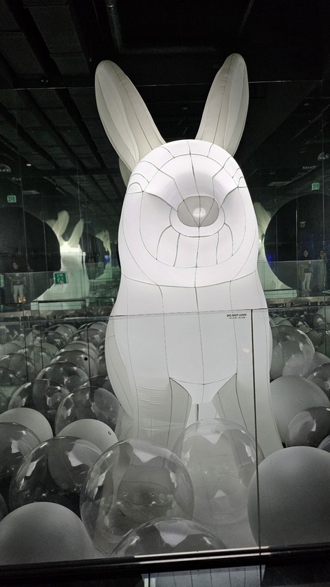 toy, Hare wallpapers