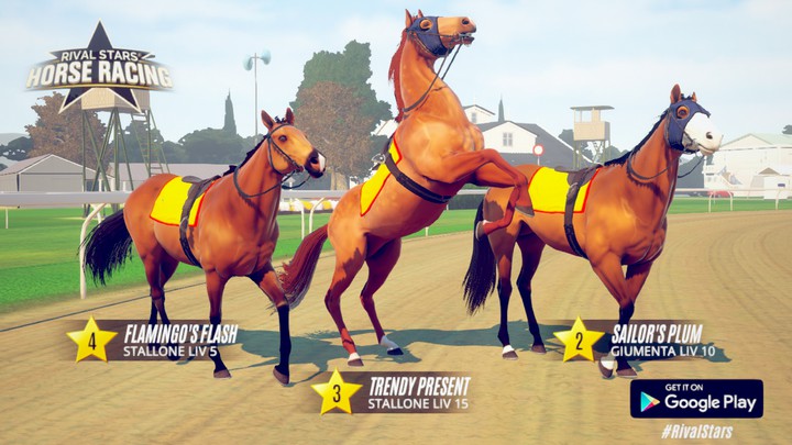 horses