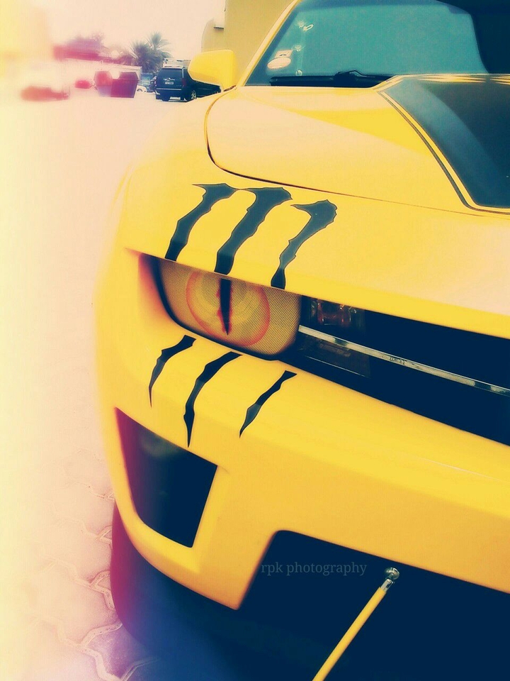 #Chevrolet #Camaro #Bestia
