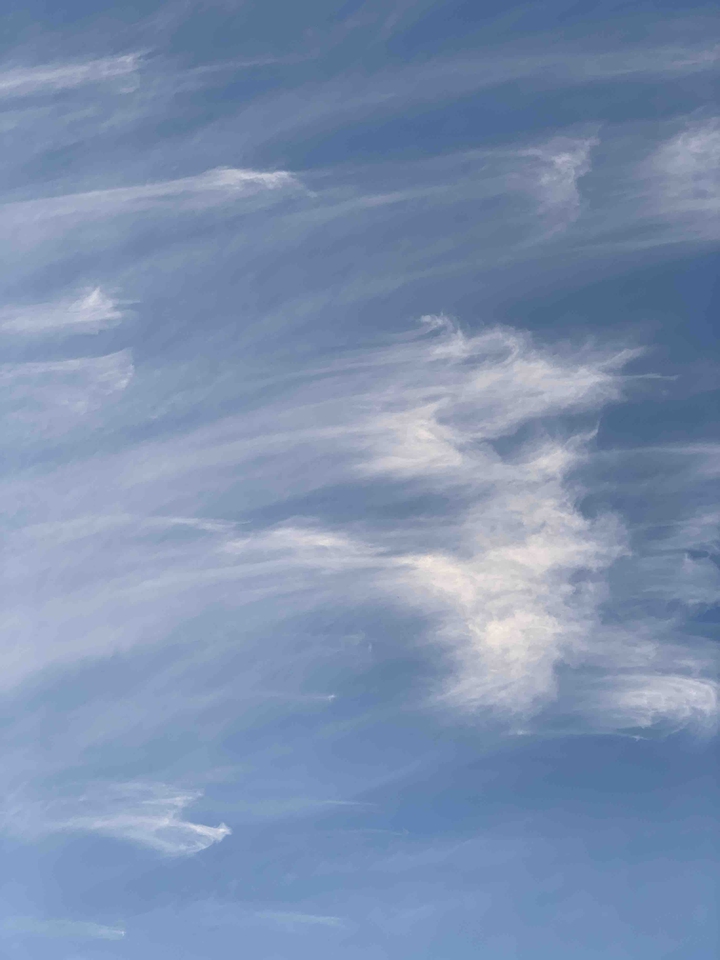 feather cloud