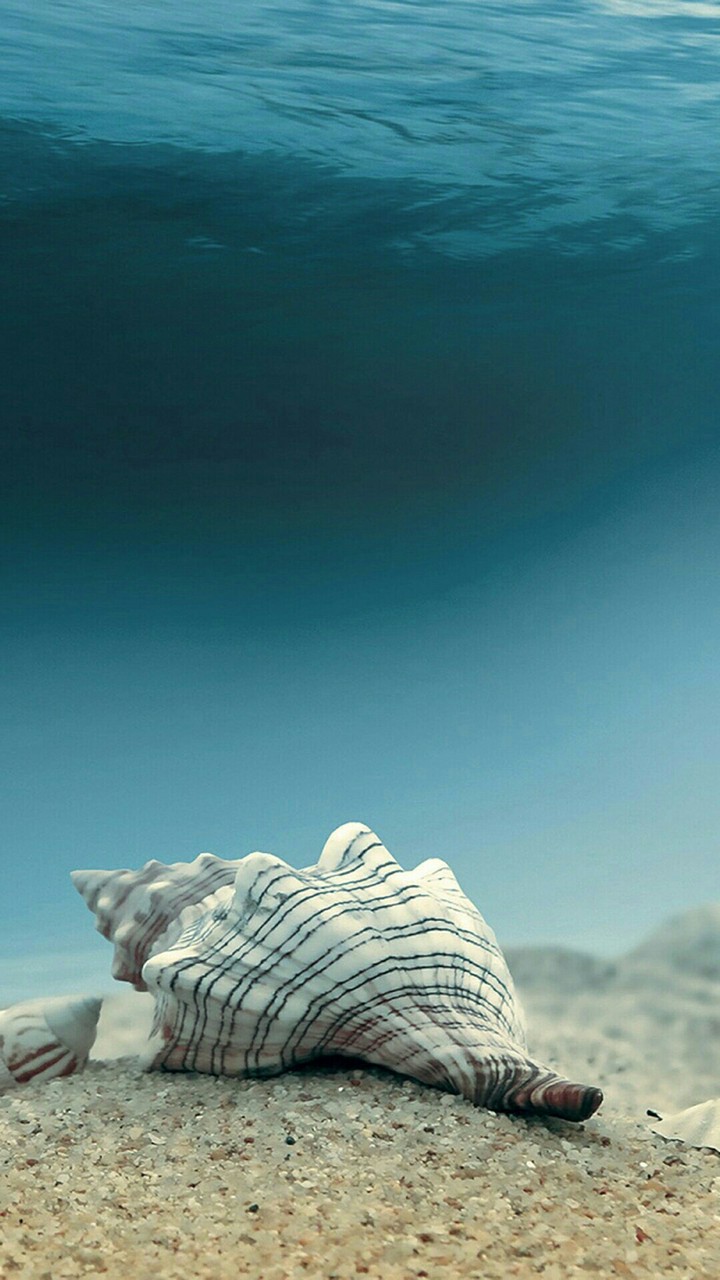 under the water