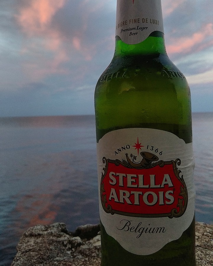 stella artois