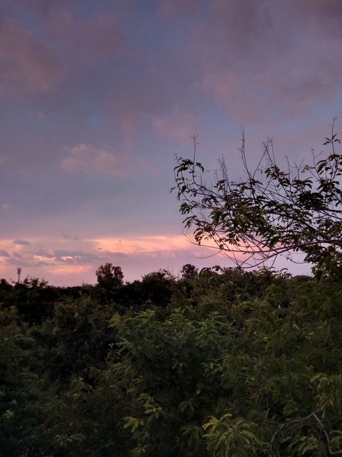 horizon