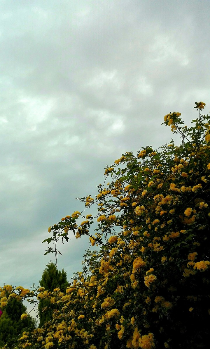 cloudy