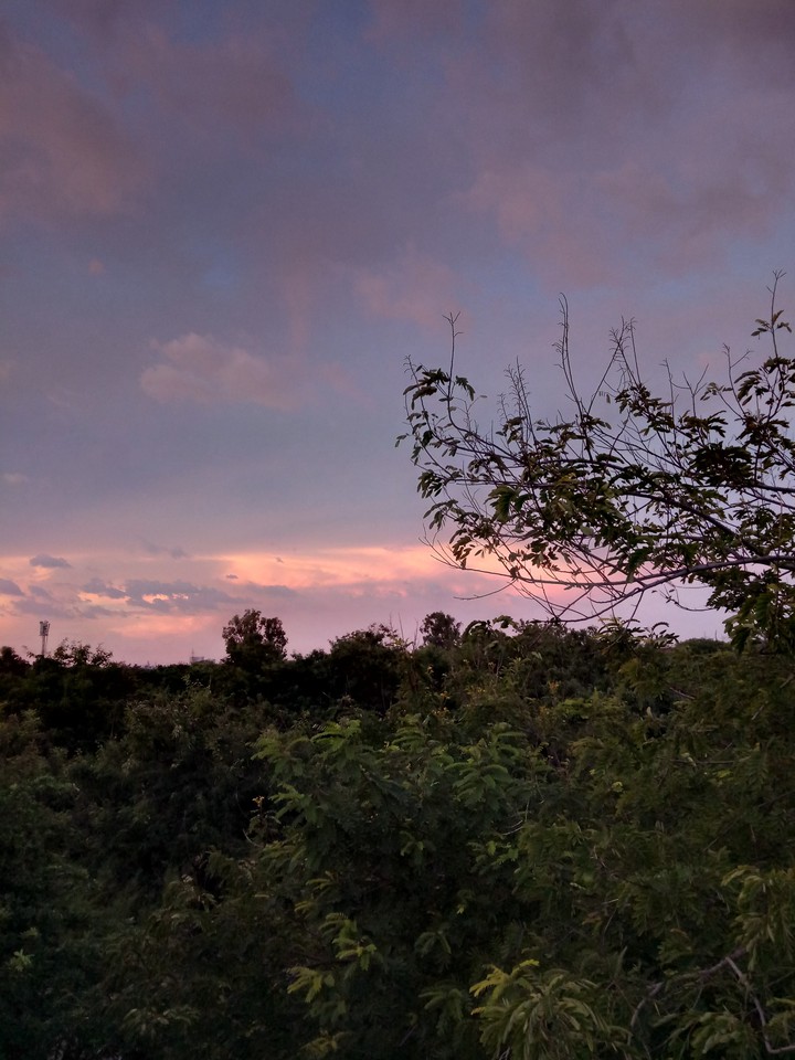 horizon