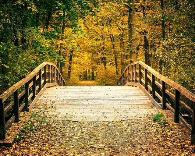 where to go