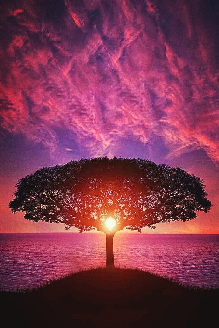 beautiful sunset
