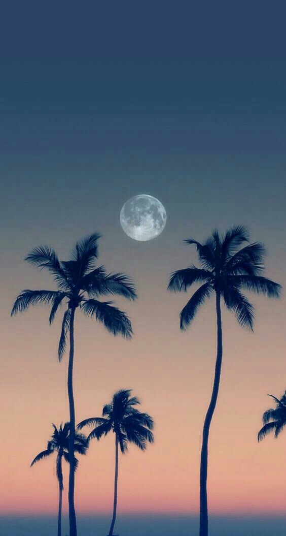 Las sombras de la luna