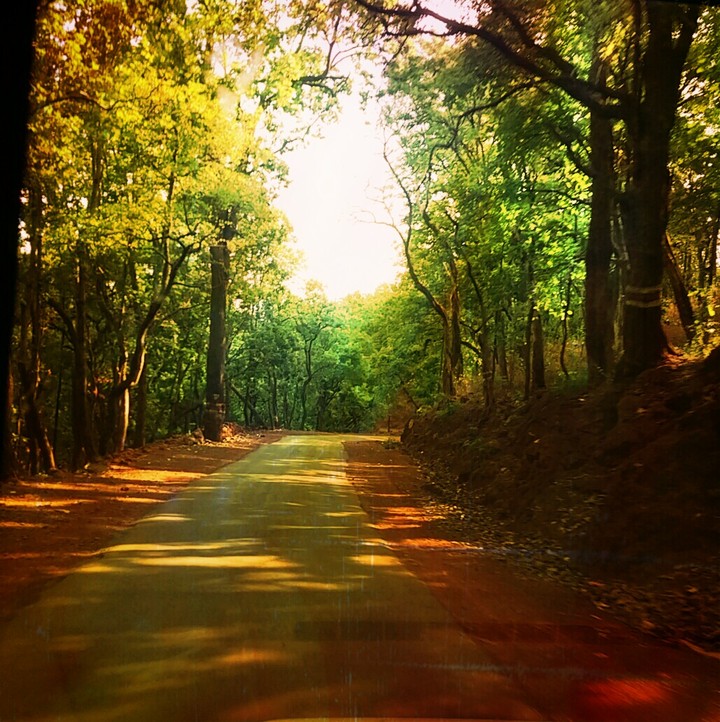 Road scenes