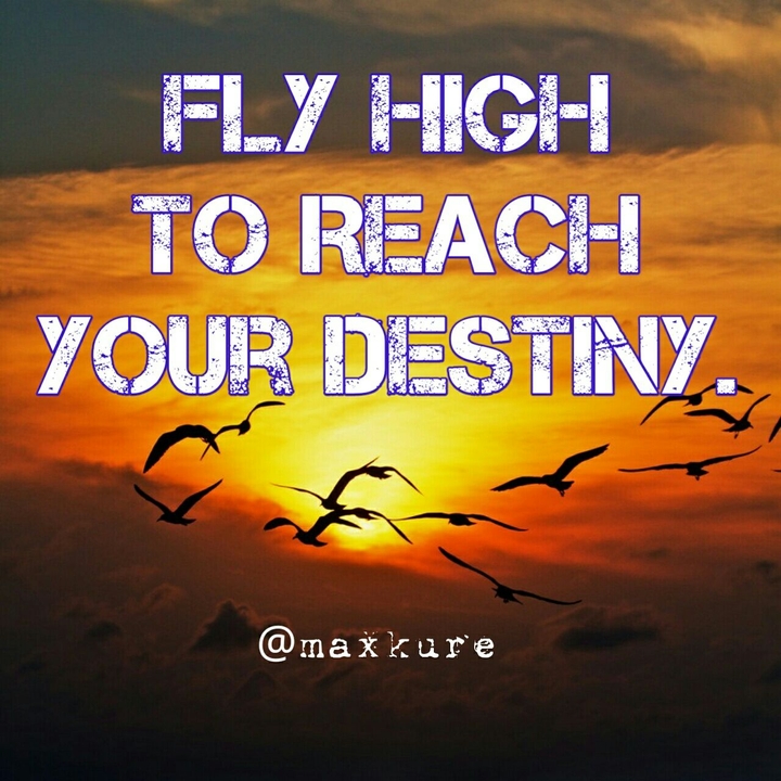 Fly High