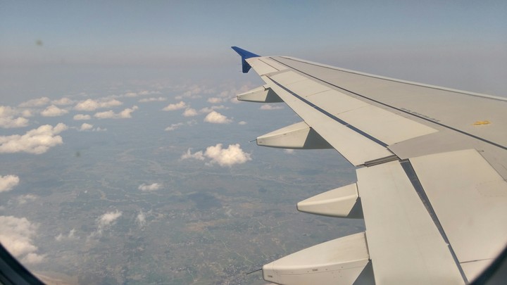 wings