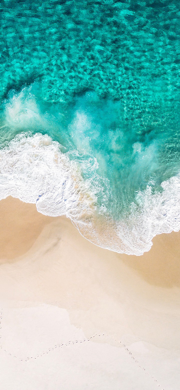 the ocean