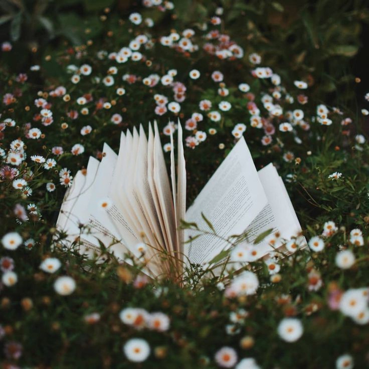 book