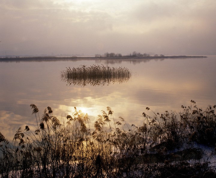 Scenics