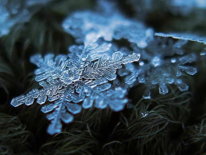 ❄❄❄