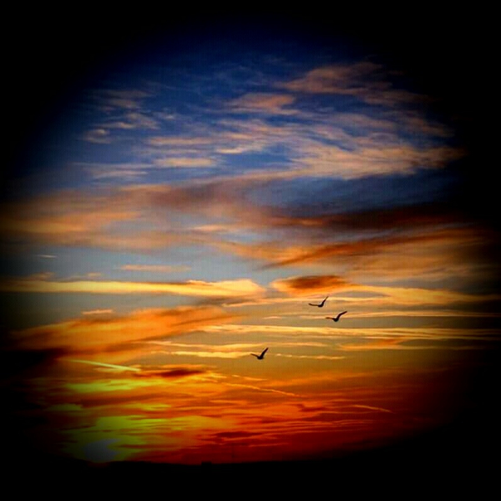 sky