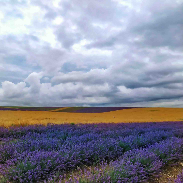 Прованс