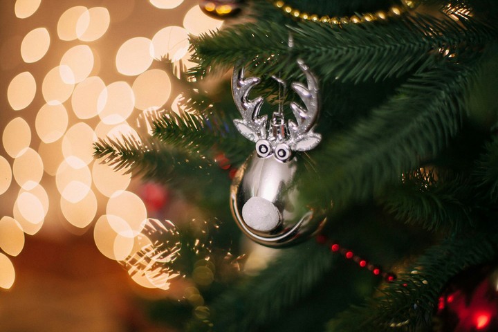 Christmas Reindeer