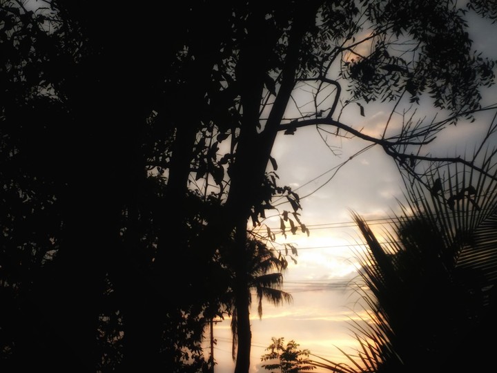Evening...