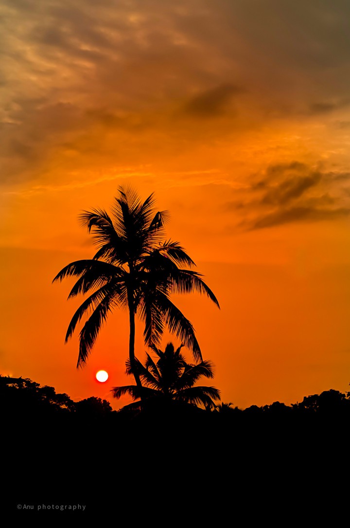 evening# kerala#village