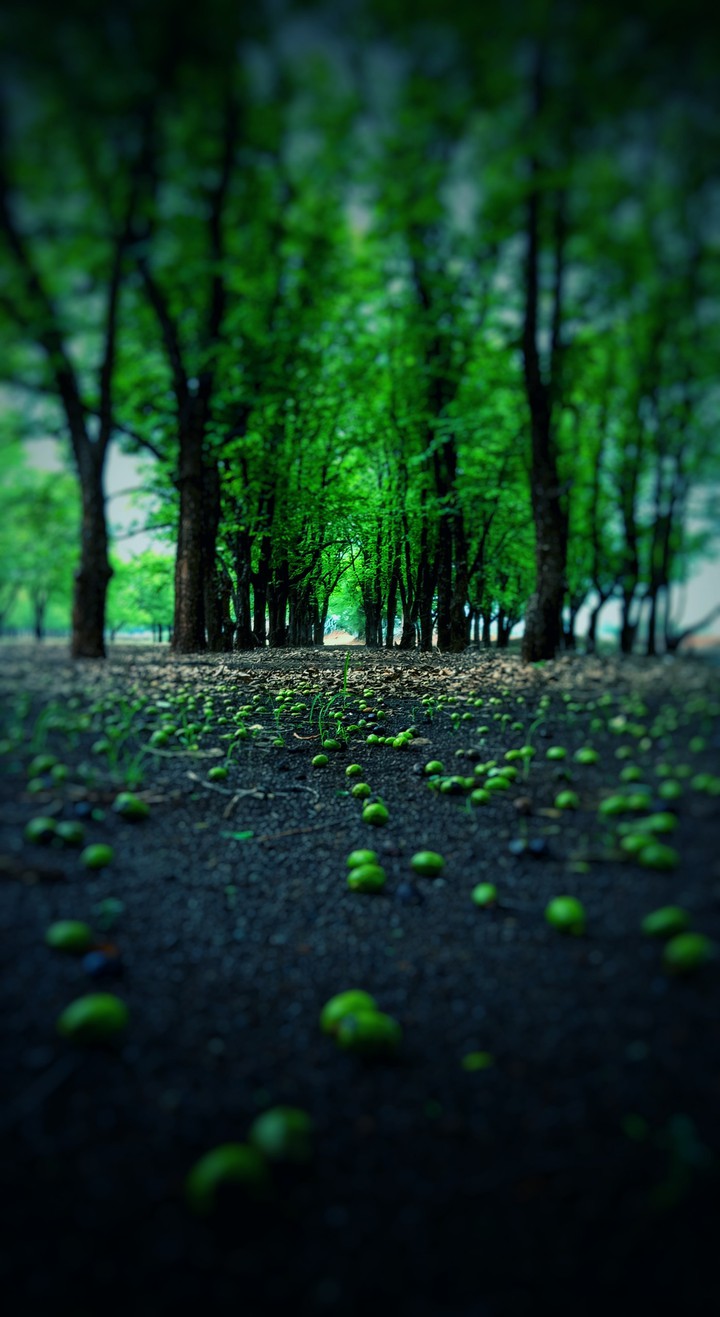 scenic beauty 3
