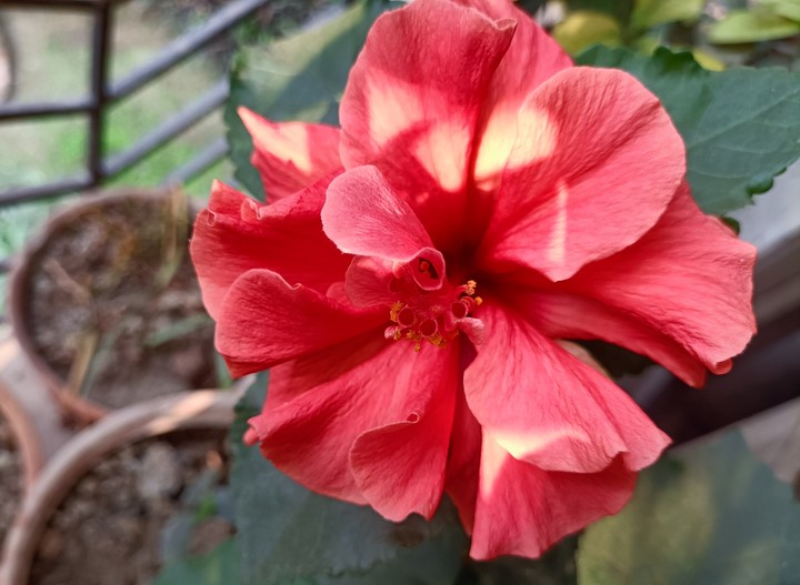Watch me bloom like a spring after a long winter