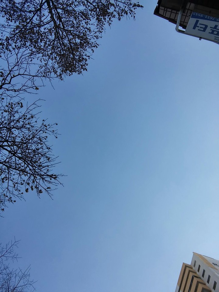 파란 겨울 하늘