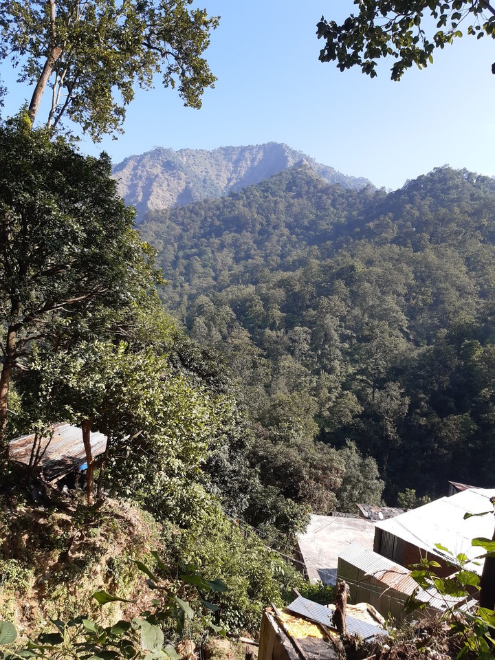 mountain