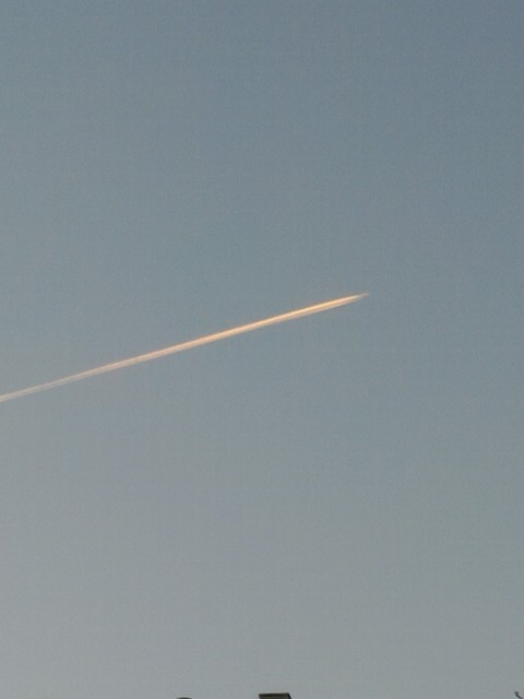 fly