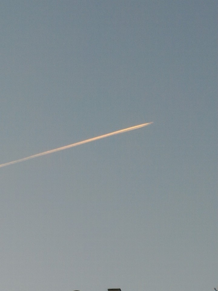 fly
