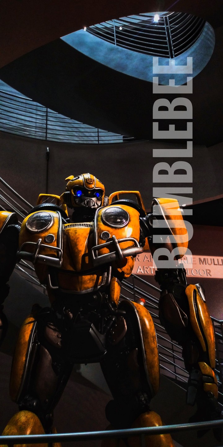 bumblebee