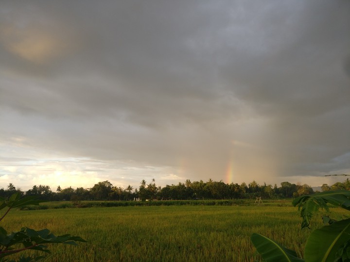 rainbow