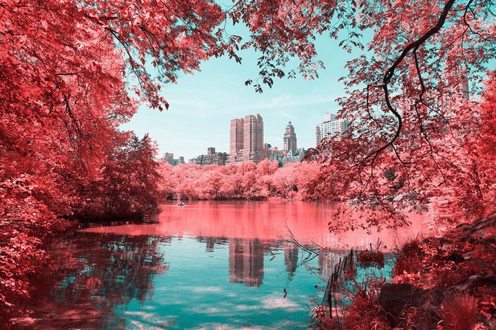 nature
