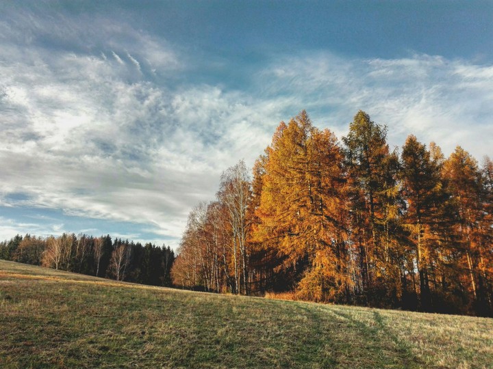 Spätherbst