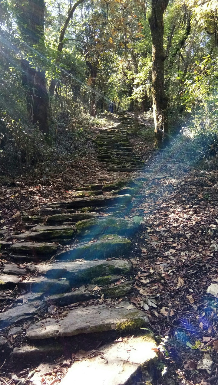 heaven_way